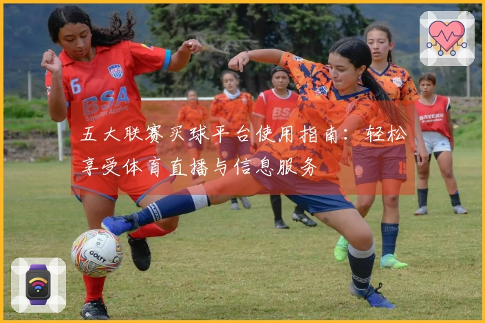 五大联赛买球平台使用指南：轻松享受体育直播与信息服务