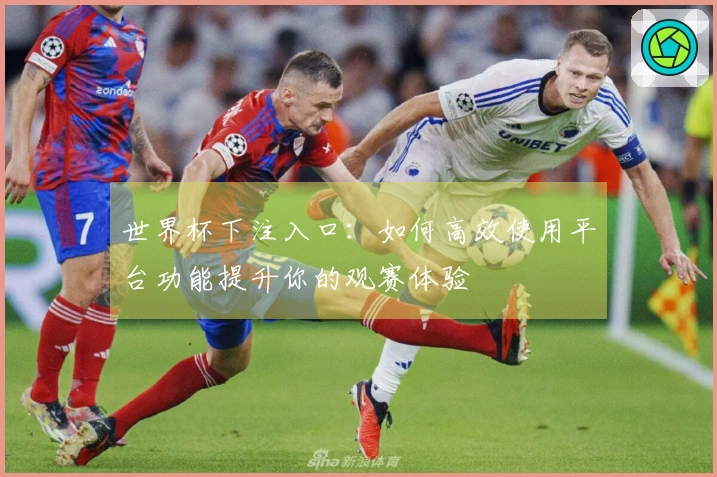 世界杯下注入口：如何高效使用平台功能提升你的观赛体验