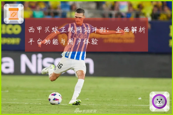 西甲买球正规网站评测：全面解析平台功能与用户体验
