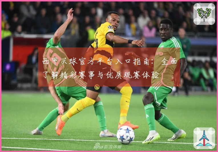 西甲买球官方平台入口指南：全面了解精彩赛事与优质观赛体验