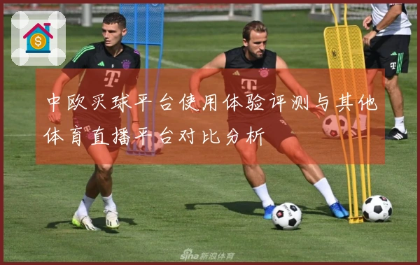 中欧买球平台使用体验评测与其他体育直播平台对比分析