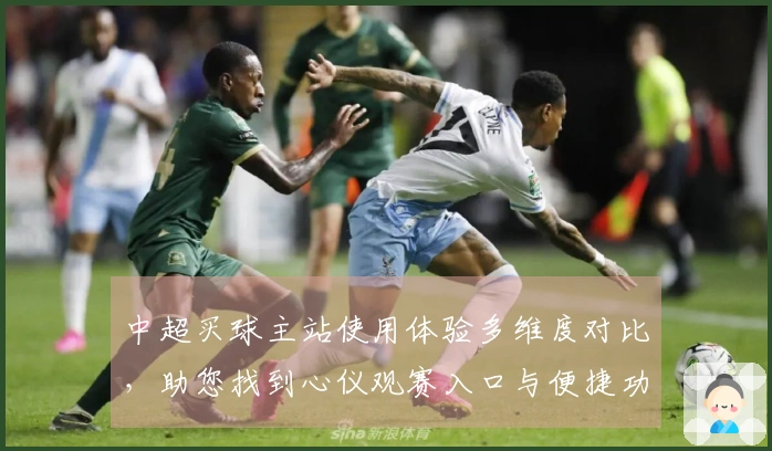 中超买球主站使用体验多维度对比，助您找到心仪观赛入口与便捷功能