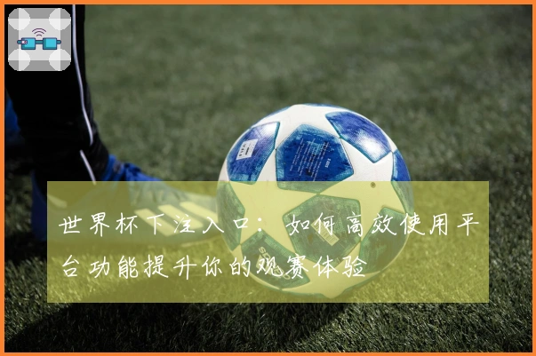 世界杯下注入口：如何高效使用平台功能提升你的观赛体验