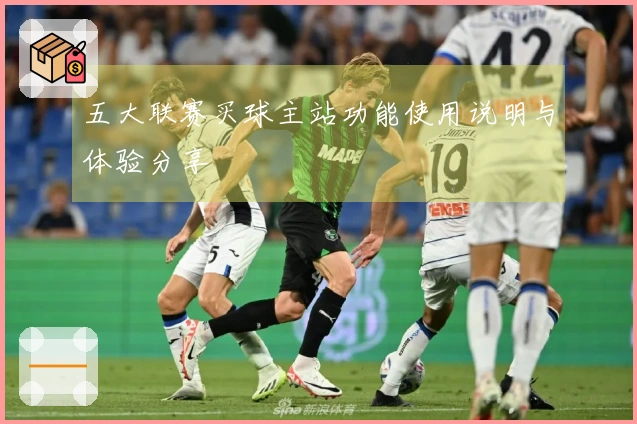 五大联赛买球主站功能使用说明与体验分享