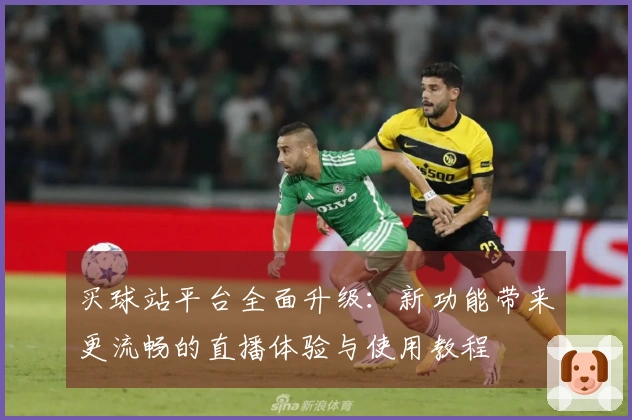买球站平台全面升级：新功能带来更流畅的直播体验与使用教程
